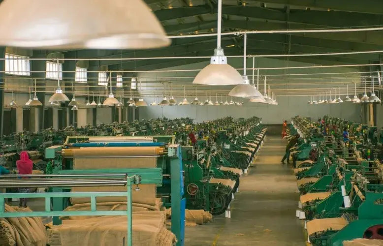 Eco-Friendly Products with a Purpose