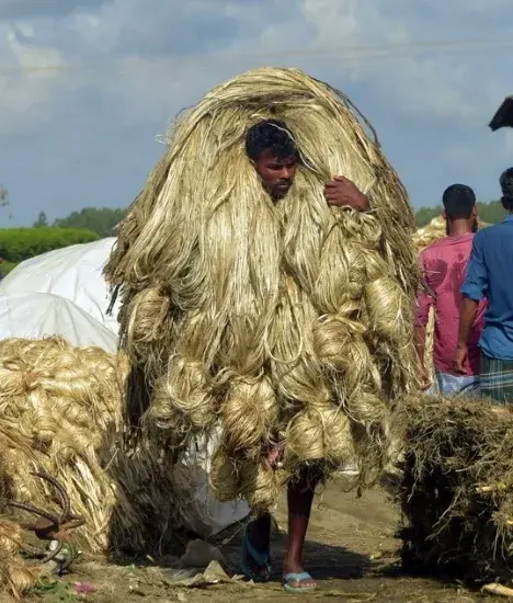 raw jute fiver