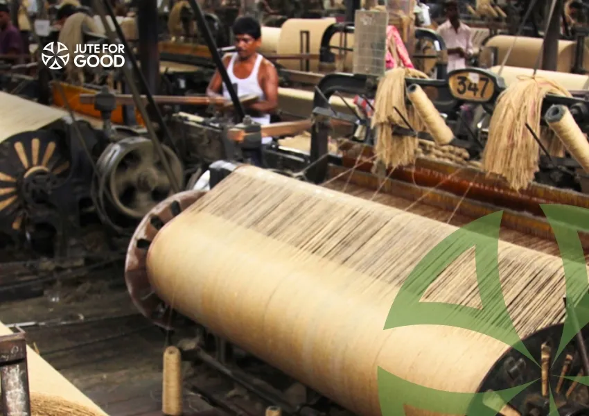 Jute weaving machine in textile factory